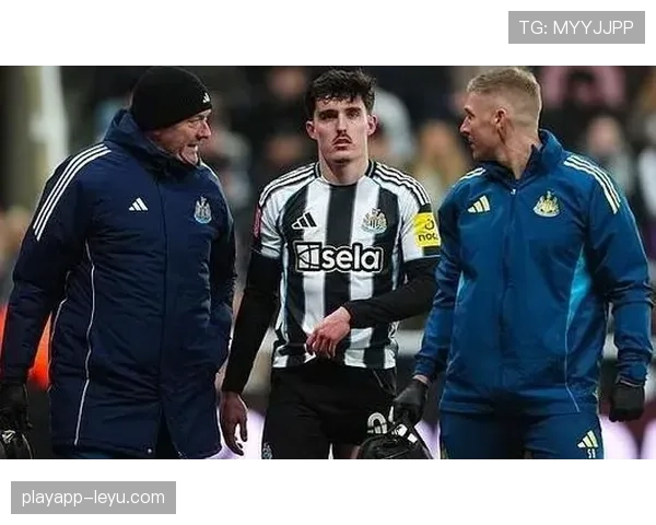 利夫拉门托英超表现抢眼,助球队稳步冲击前四 利夫拉门托英超表现抢眼,助球队稳步冲击前四