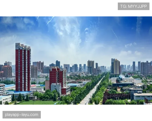 尼斯中路渗透表现亮眼，引领城市交通新变革