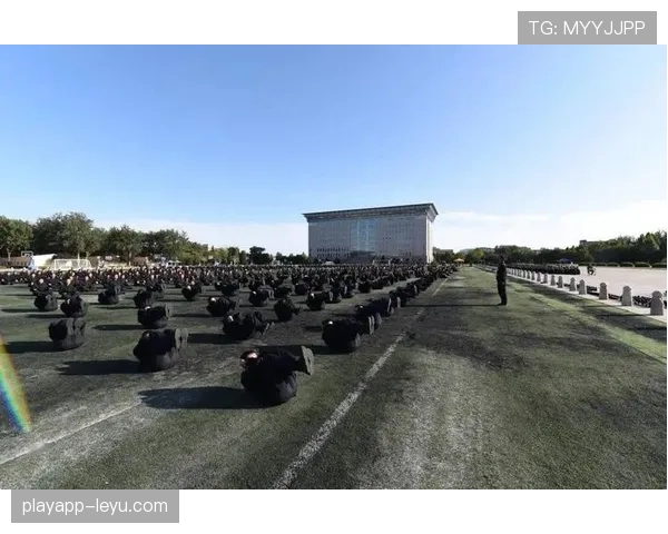 葡萄牙新星状态回升，青年才俊再展锋芒引关注