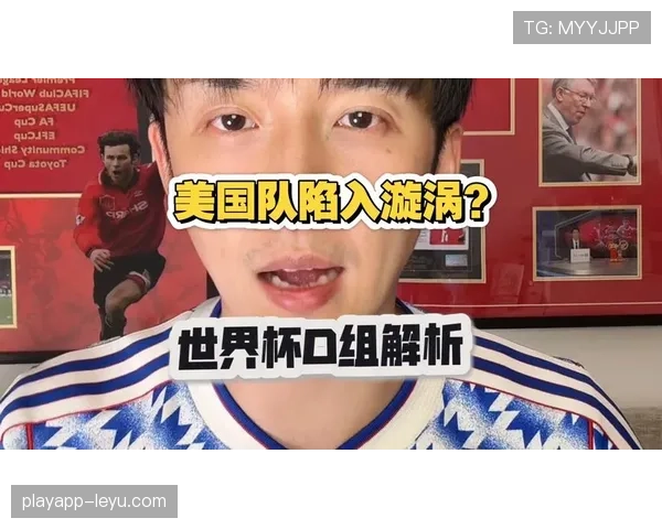 世界杯美国队D组关键比赛解析